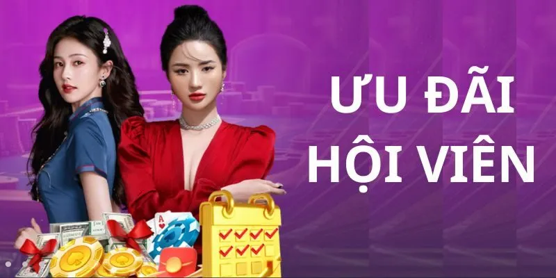 Giao diện đăng nhập V9Bet nhanh trên web 